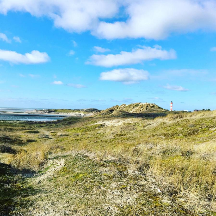 Surf Vue Mer 100M Plage Berck Dış mekan fotoğraf